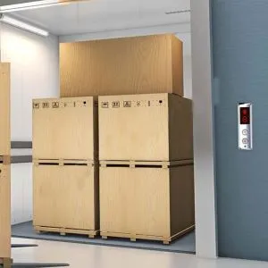 Elevatore di trasporto di sollevamento del carico delle merci 2000kg 3000kg 4000kg 5000kg